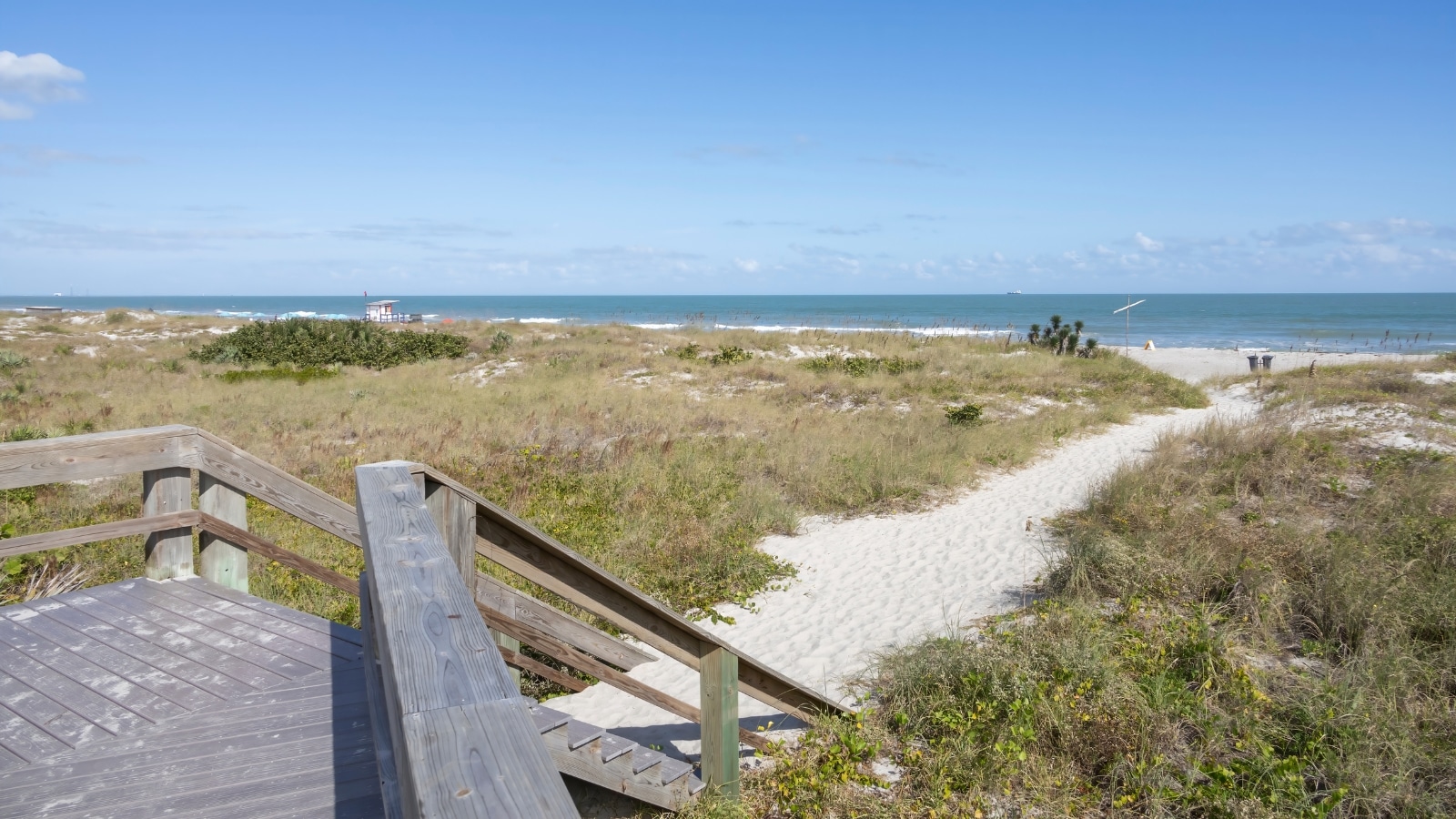 A straightforward photograph depicting a pathway leading towards the Atlantic Ocean at Lori Wilson Park in Cocoa Beach, Florida. The surroundings appear to be typical of coastal landscapes, with native vegetation on either side of the pathway.