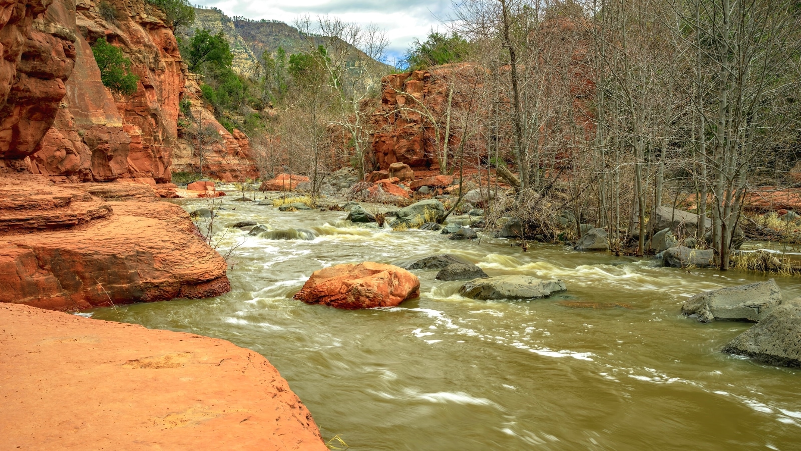 A photograph depicting the red sandstone rock formations in Oak Creek Canyon, located near Sedona, Arizona.