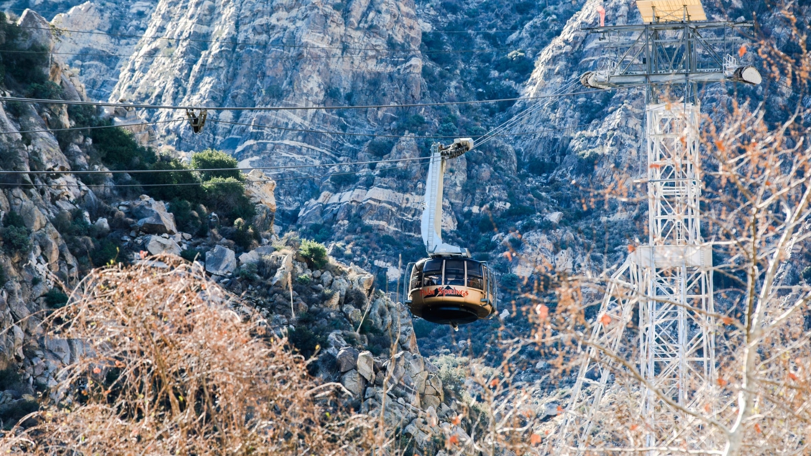 A photograph capturing the Palm Springs Aerial Tram, showcasing the tramcars ascending and descending the rugged Chino Canyon.
