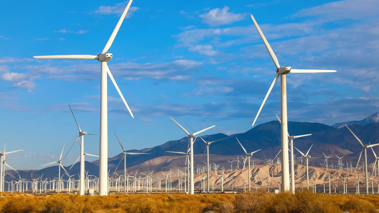 A photograph capturing the Palm Springs Windmills. The image features an array of wind turbines aligned across the landscape. The windmills, with their rotating blades, generate renewable energy.
