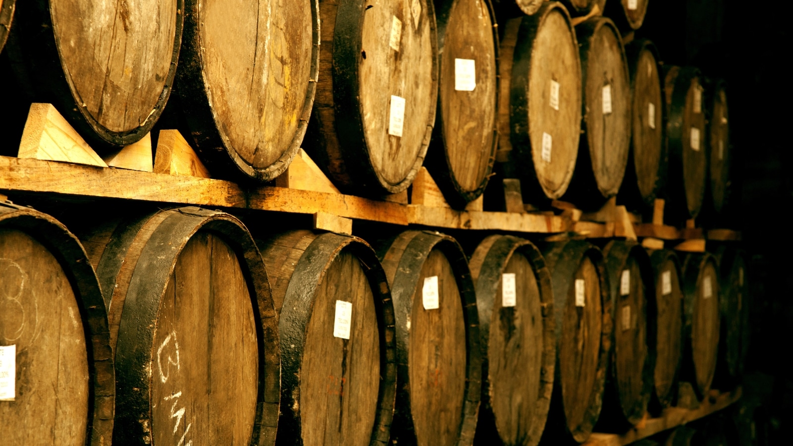 The image depicts wine barrels stacked neatly in the old cellar of a winery located in St. Augustine, Florida.
