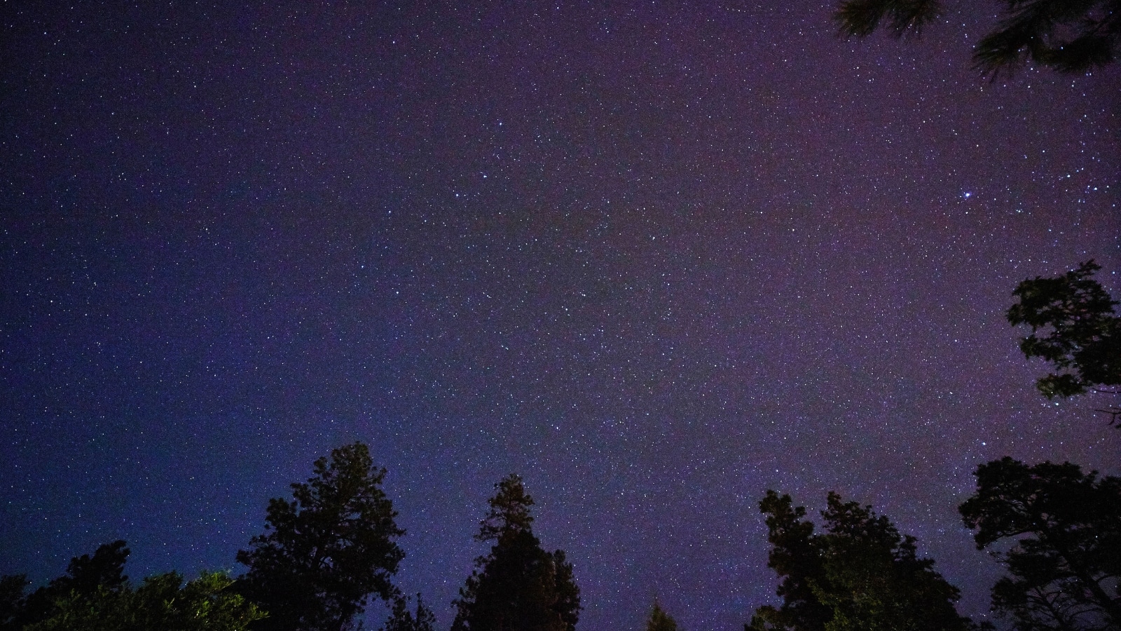 A photograph capturing a starry night sky over Sedona, Arizona, with silhouetted coniferous trees in the foreground.