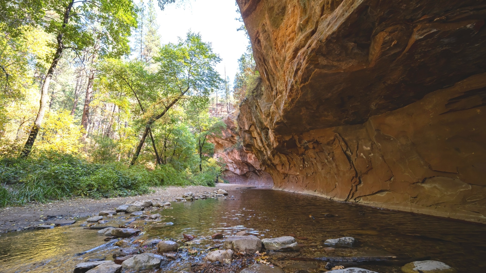 A photograph depicting the beautiful fall colors surrounding the West Fork hiking area in Sedona, Arizona.