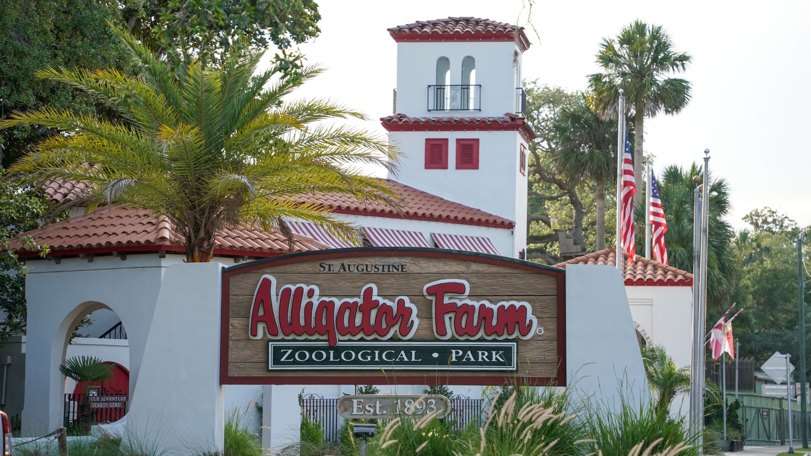 The image features the Alligator Farm in St. Augustine, USA, with the prominent Alligator Farm sign in the foreground. The sign is clear and legible, emphasizing the location.