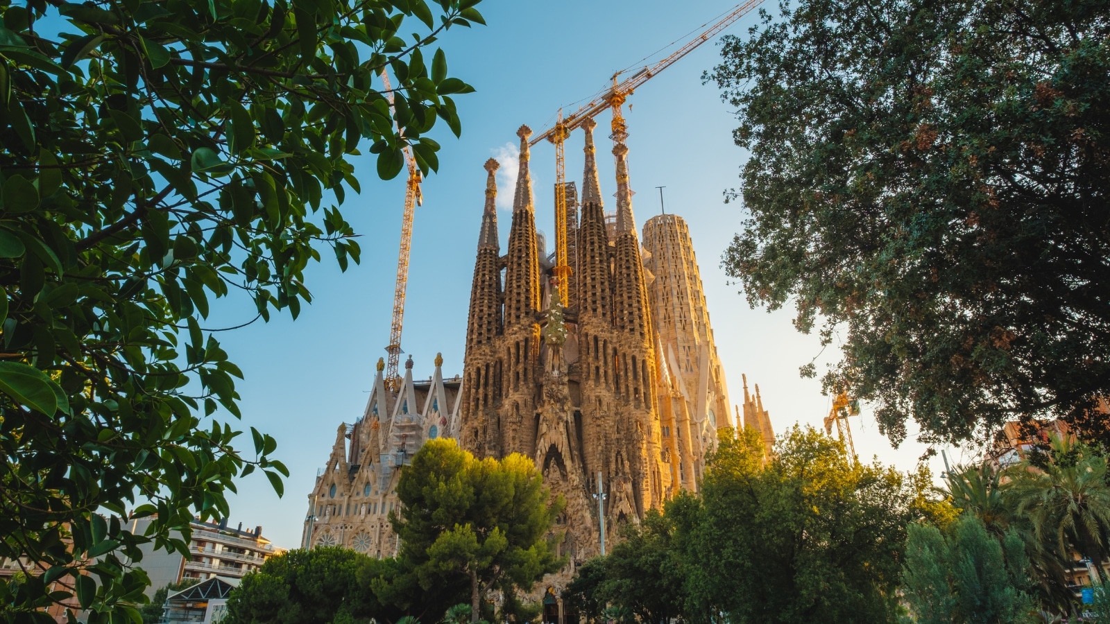 A photograph capturing a distant view of Sagrada Familia in Barcelona from a park setting with abundant greenery. The image shows the iconic basilica rising amidst the surrounding trees and foliage. The park's green landscape frames the architectural marvel of Sagrada Familia against a clear sky.