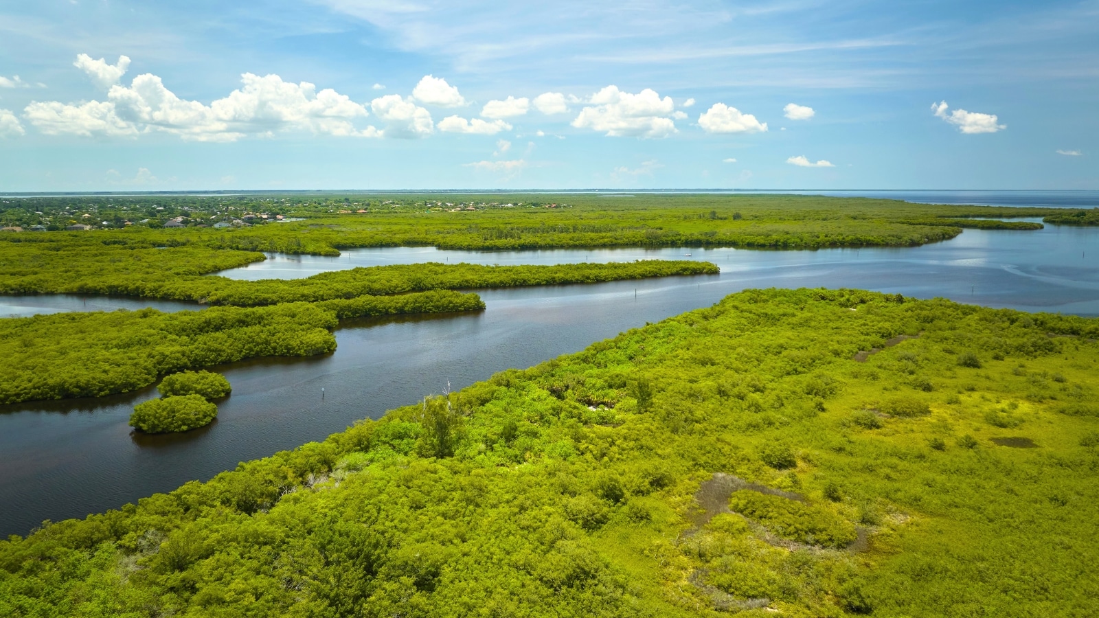 The image showcases Everglades National Park, located in Florida, USA. It features a vast expanse of wetlands, marshes, and mangrove forests.