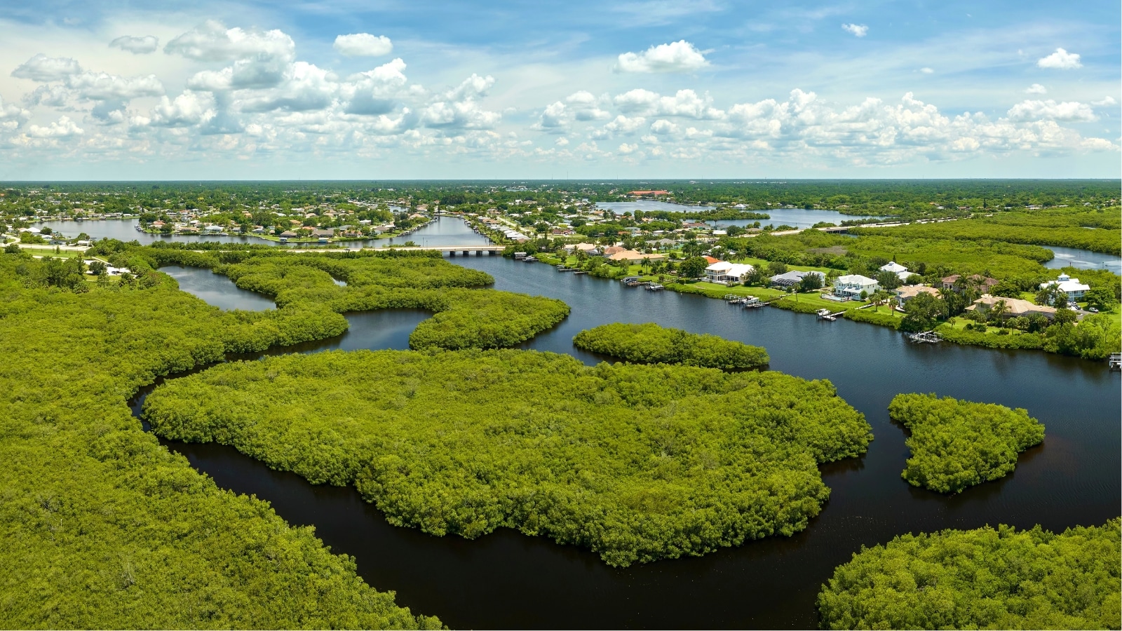 View of the Everglades National Park, showcasing lush green vegetation interspersed between water inlets. The scene includes rural private houses nestled amidst the natural landscape.