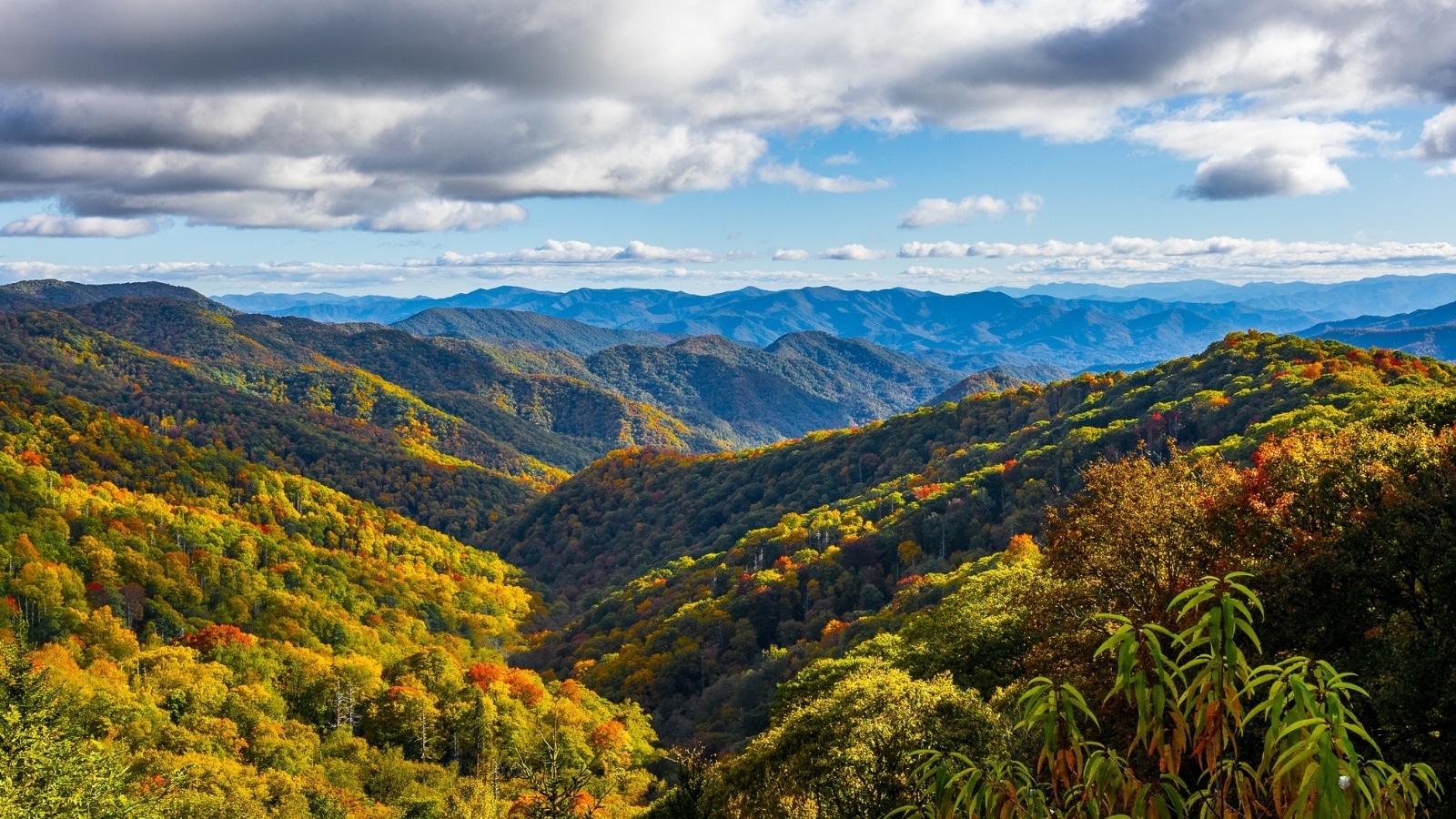 The image depicts a scenic view of the Great Smoky Mountains National Park, characterized by lush greenery, rolling hills, and humps that create a picturesque landscape.