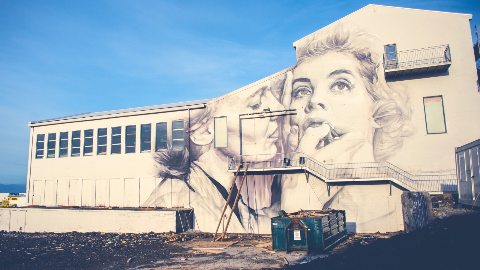 The image captures a mural on the back of a building in Reykjavik, Iceland, created by Australian artist Guido van Helten. The mural features two women.