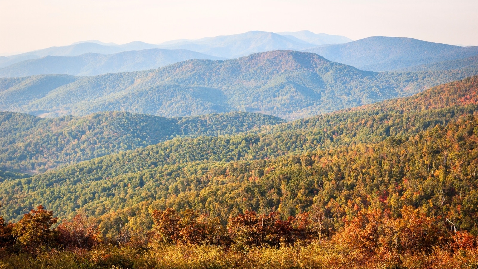 The image depicts a hazy morning scene at an overlook in Shenandoah National Park, located along the Blue Ridge Mountains in Virginia, USA.