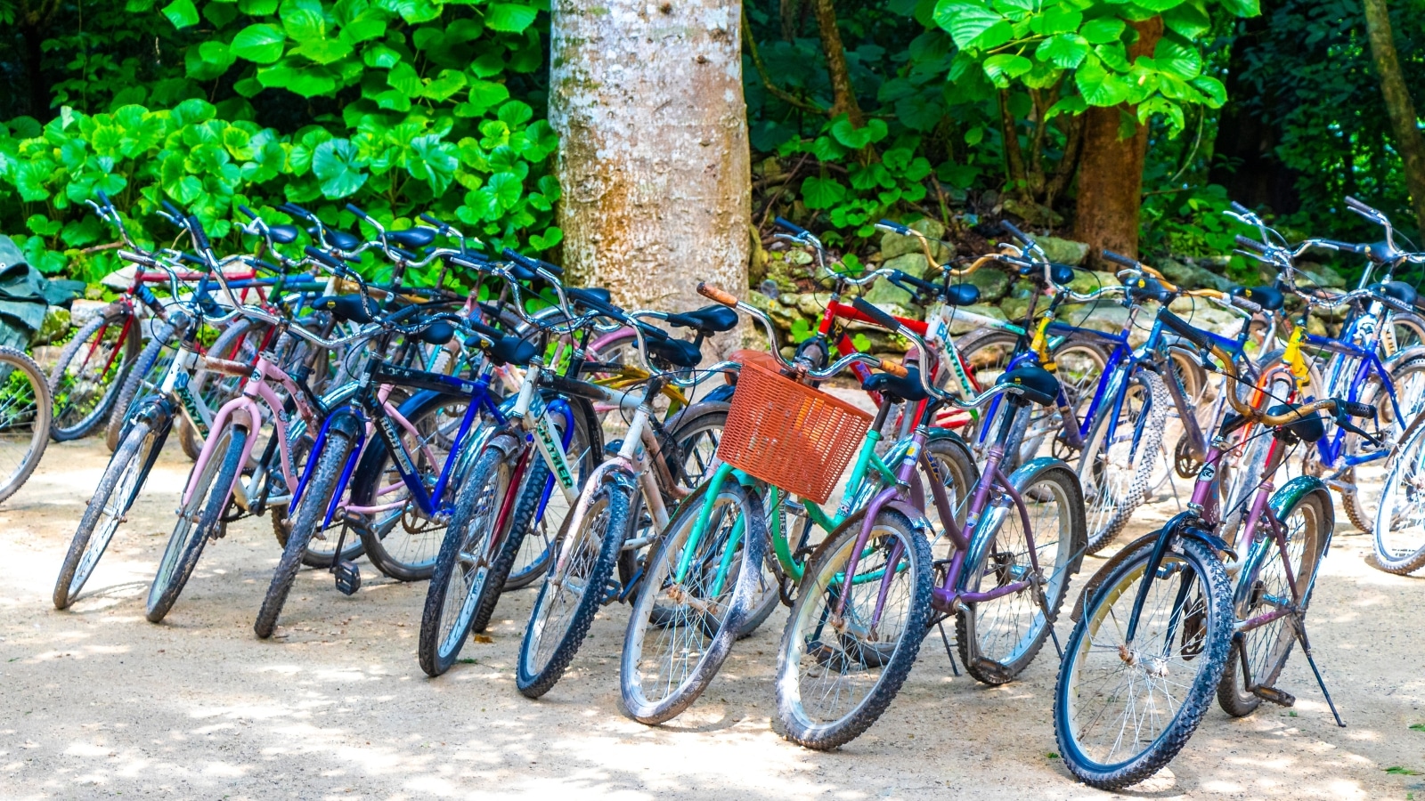 The image showcases a range of bikes available for rent in Tulum, Quintana Roo, Mexico. These bicycles come in various colors and sizes, catering to different preferences. The background features trees and bushes.