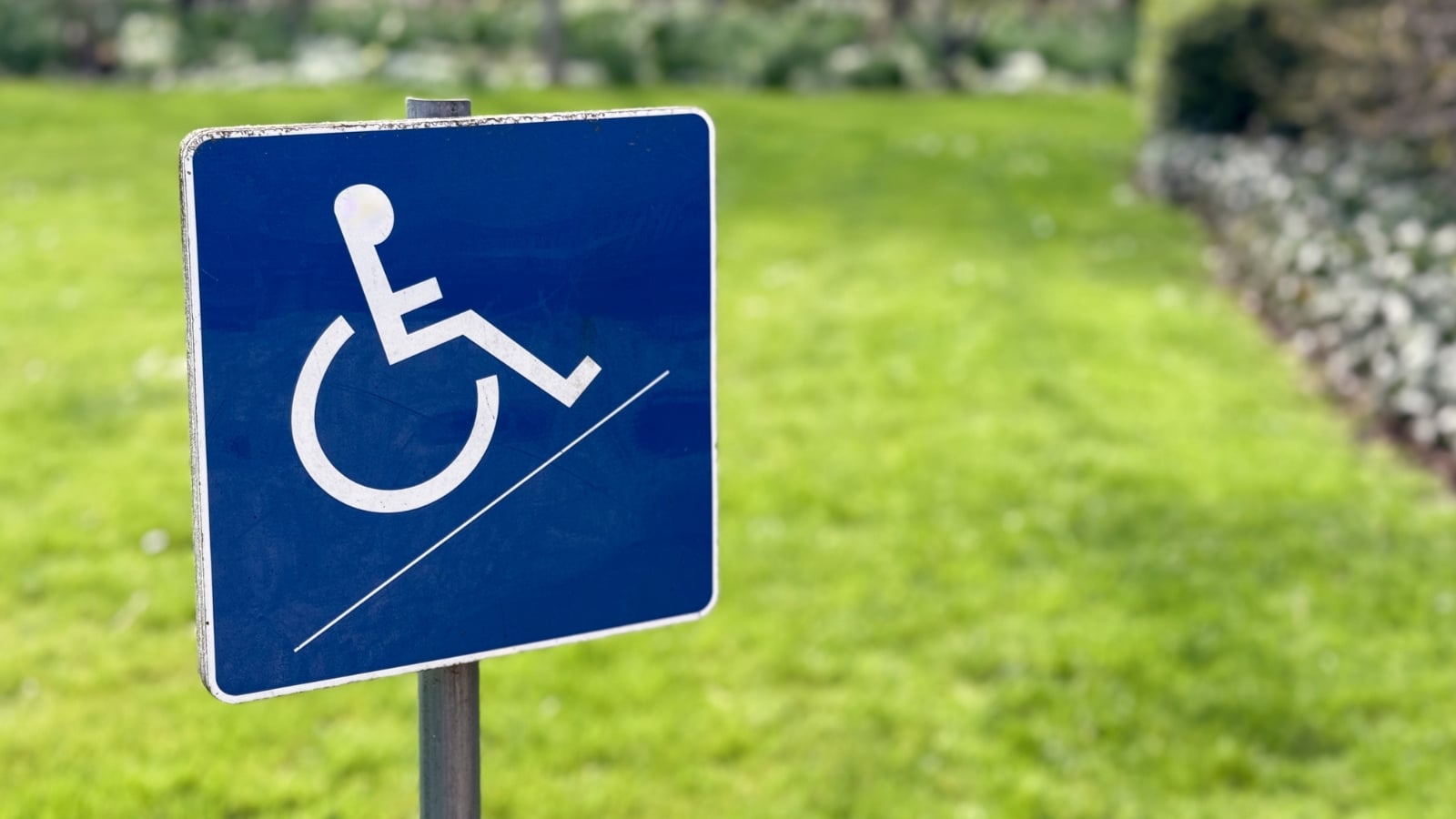 The image depicts a blue wheelchair handicap sign standing alone.
