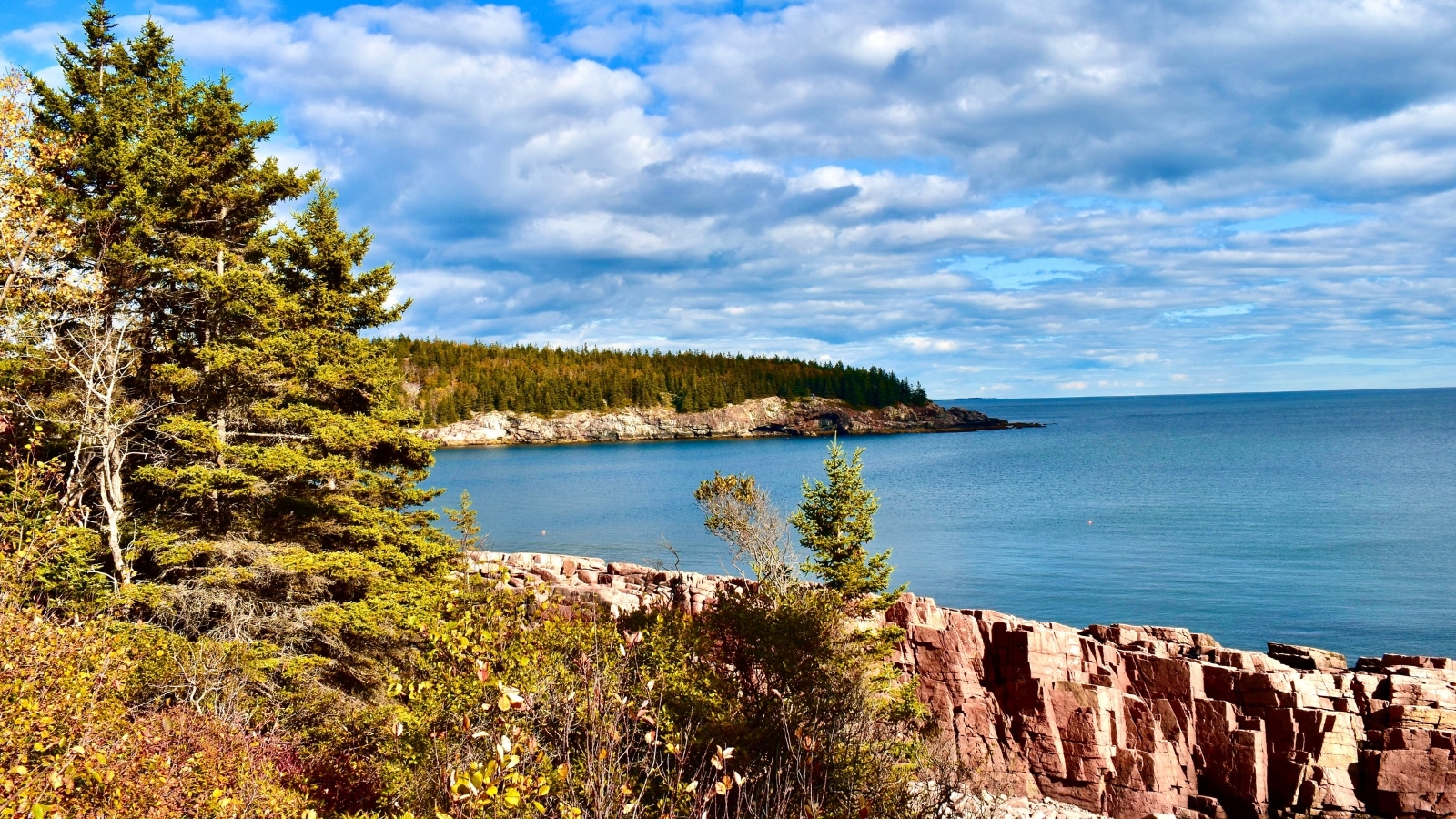 Acadia National Park near Bar Harbor, Maine, featuring a landscape rich with fir trees, other types of trees, and small rocks. In the background, the vast expanse of the ocean adds to the scenic beauty of the park.