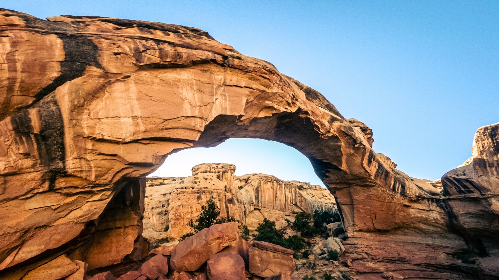 In Capitol Reef National Park, Utah, this wide shot captures a sandstone arch standing against a clear blue sky. The color of the sandstone ranges from warm orange tones to subtle beige, typical of the rock formations found in the region.