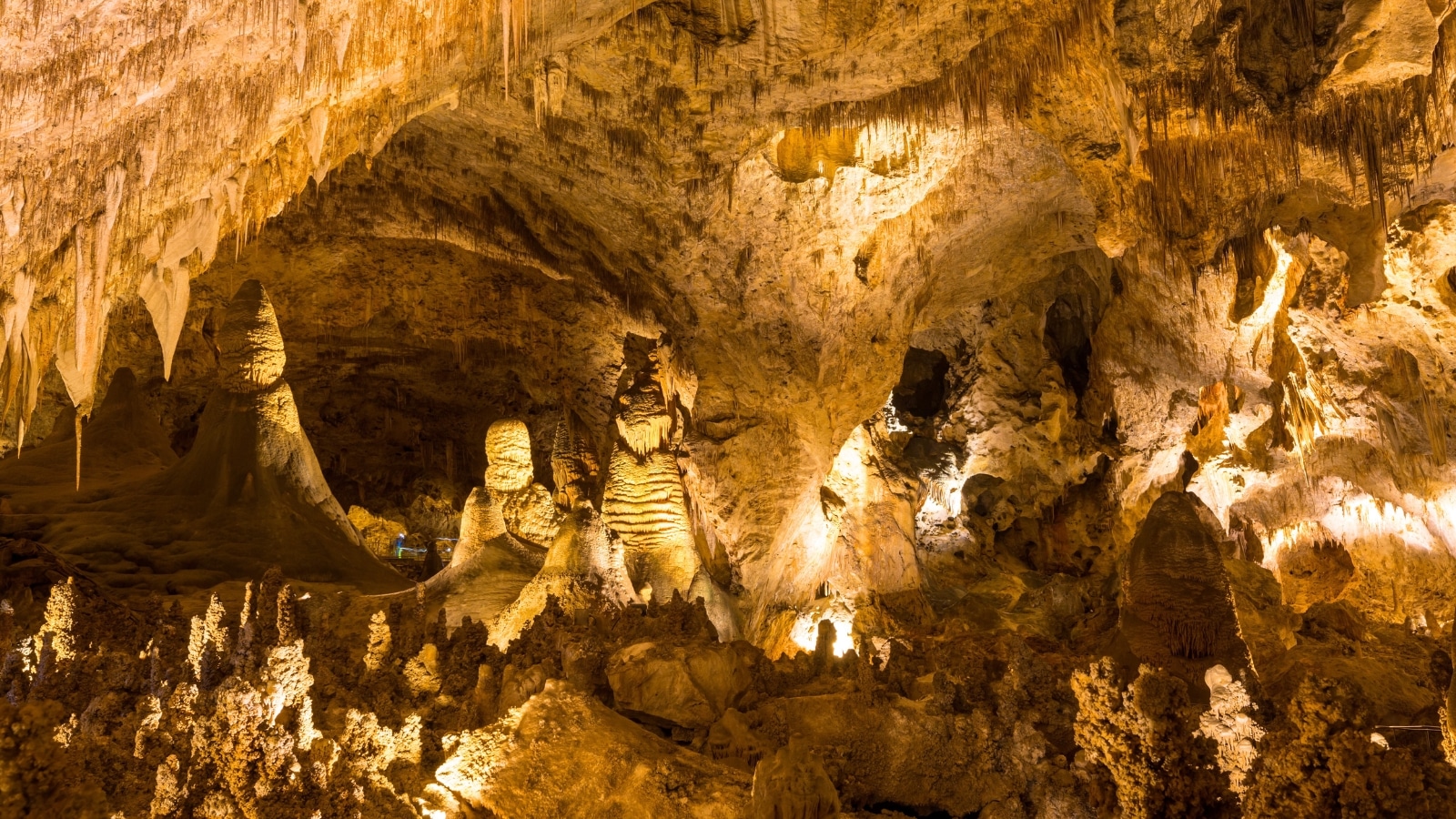 Carlsbad Caverns National Park in New Mexico, USA, showcasing rock caves with various curved formations.