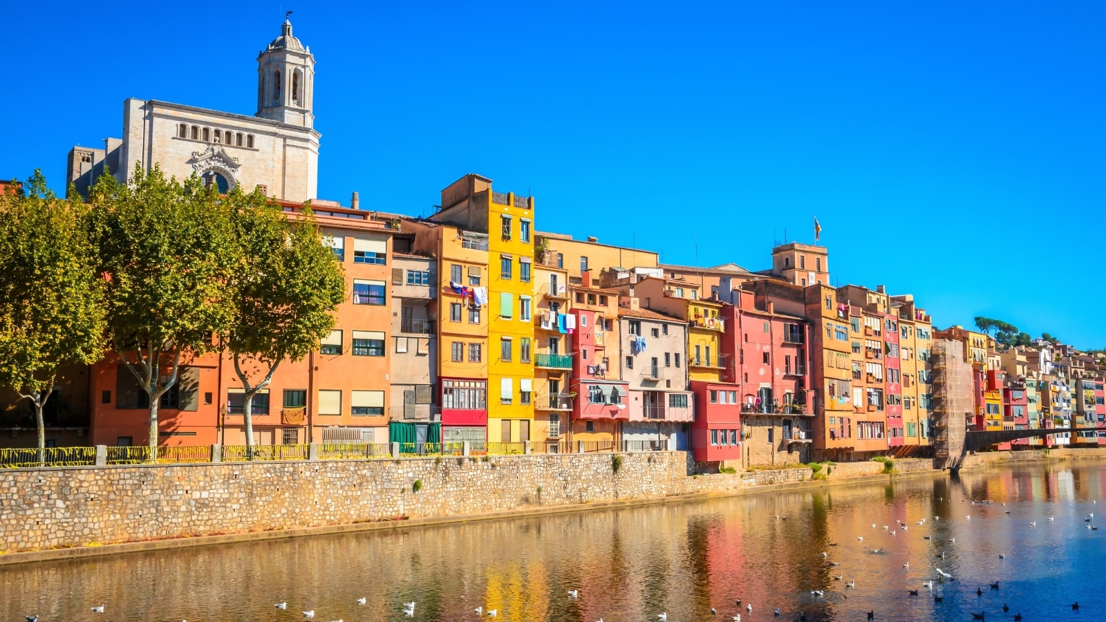 The image showcases the famous colorful houses along the river Onyar in Girona, Catalonia, Spain. These houses feature vibrant hues of orange, yellow, and light brown, creating a visually striking display. They are lined up in a row along the riverbank, highlighting the traditional architecture of the region.