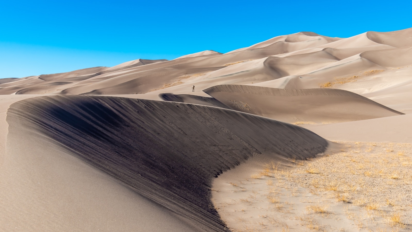 The image features a wide view of high sand dunes at Great Sand Dunes National Park and Preserve in Colorado, USA. The landscape showcases vast stretches of sandy terrain, sculpted by natural forces over time. The dunes rise to impressive heights.