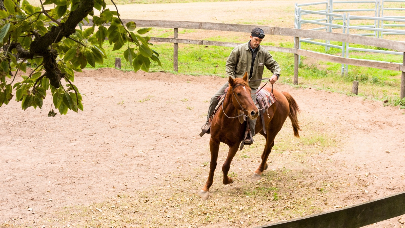 In Santa Fe, the image features a rider on a brown horse with a fence surrounding the scene.