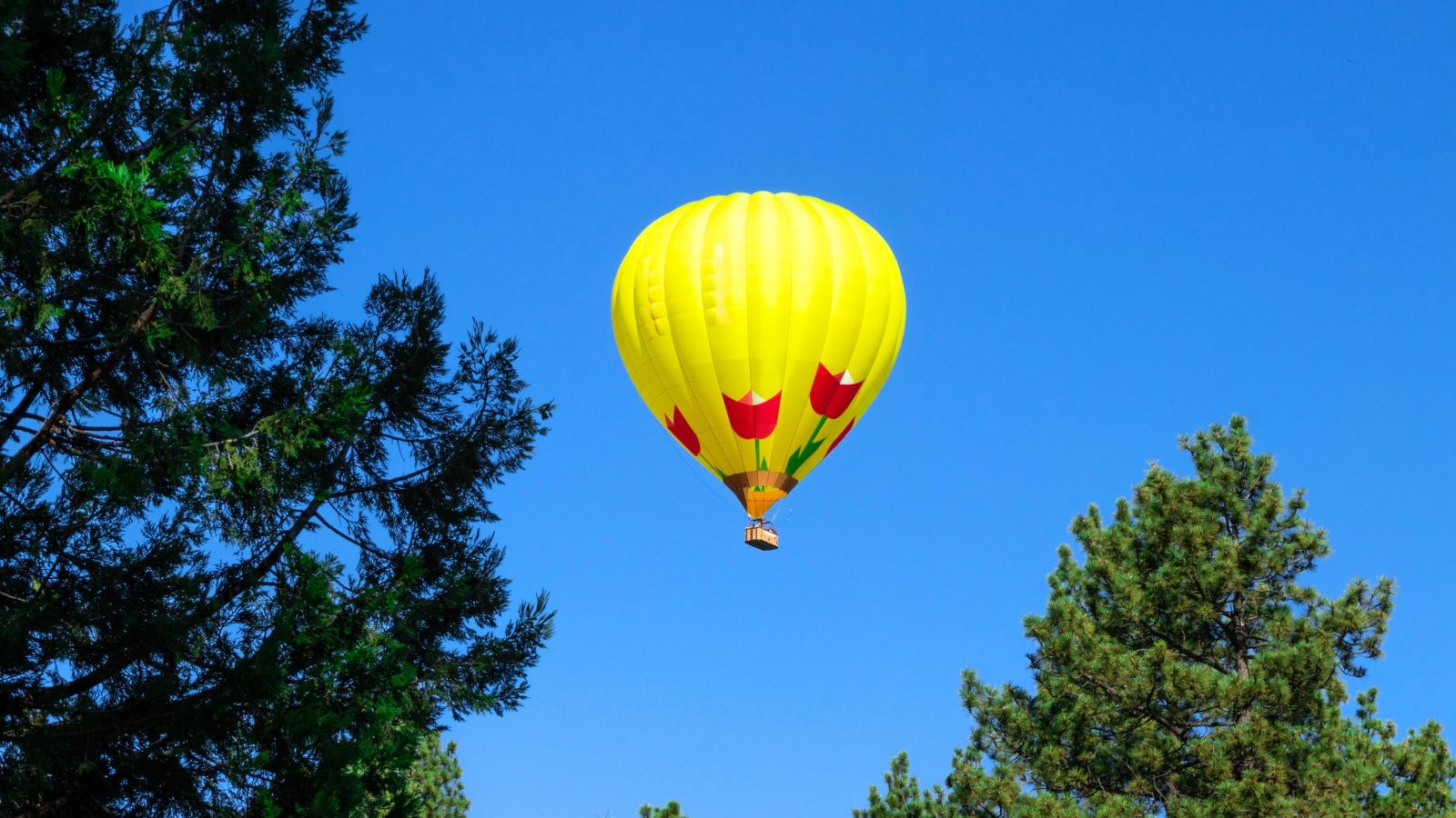 Yellow hot air balloon ascending into the sky. The balloon is round and inflated, with a vibrant yellow color that stands out against the blue sky.