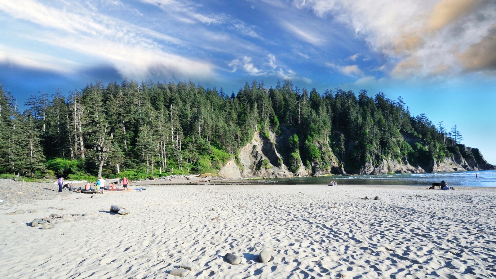 Oswald West State Park in Oregon, showcasing a wide beach with white sand. In the background, a hill covered with pine trees and other vegetation.
