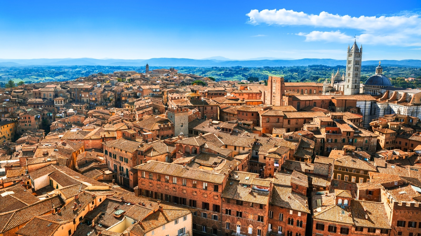 In Siena, a medieval town in Tuscany, Italy, the scene captures the iconic landmarks of the Dome and Bell Tower of Siena Cathedral (Duomo di Siena), the Mangia Tower, and the Basilica of San Domenico. The cathedral's dome is a prominent feature, along with the elegant bell tower rising beside it. The buildings exhibit a range of earthy hues typical of Tuscan architecture, with warm tones of terracotta, beige, and brown.
