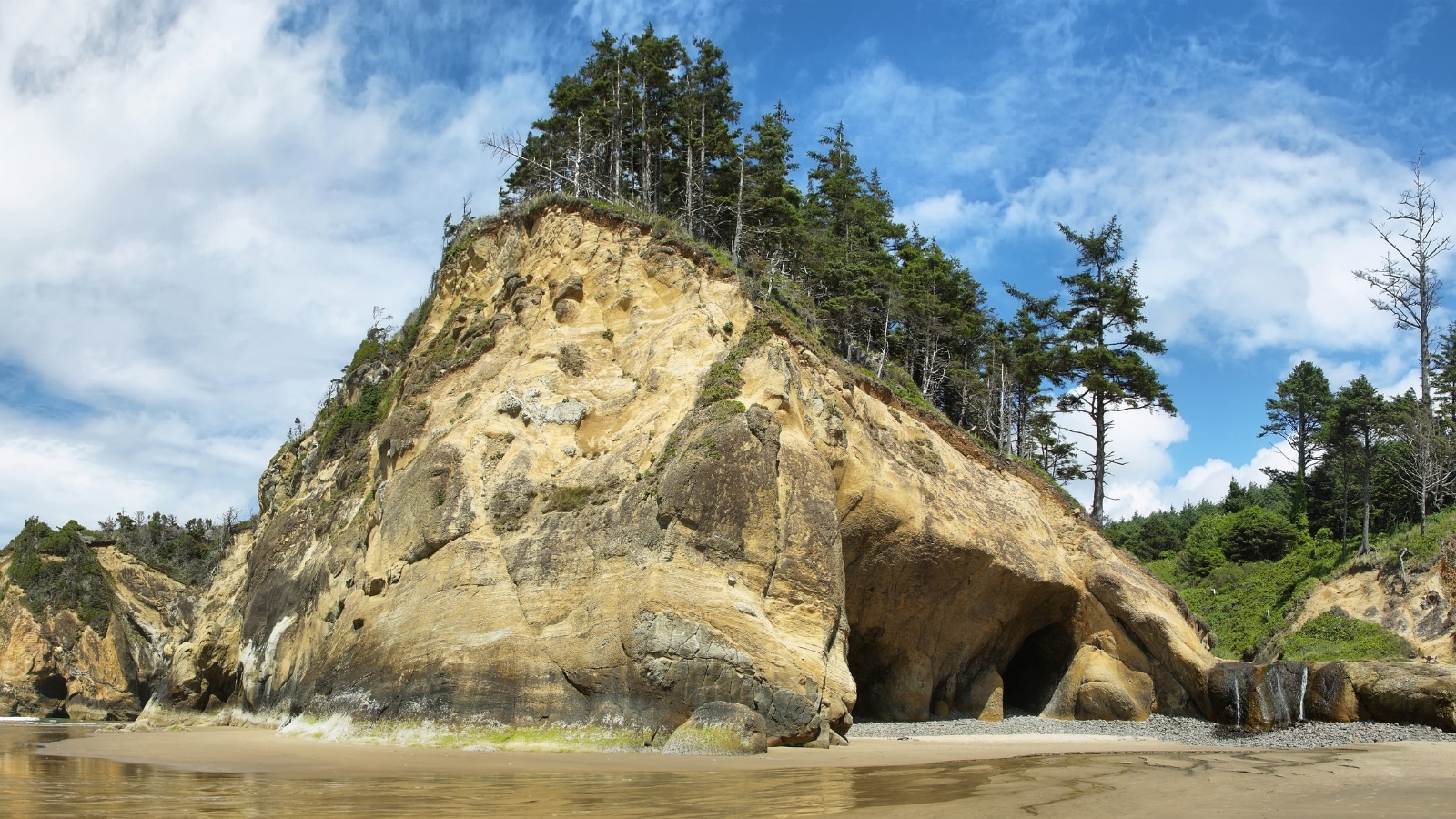 The image depicts Hug Point in Oregon, USA, showcasing a tall rock formation with trees atop it. This rock structure offers the opportunity for visitors to go underneath it. Situated on the beach, the rock is in close proximity to the ocean,.