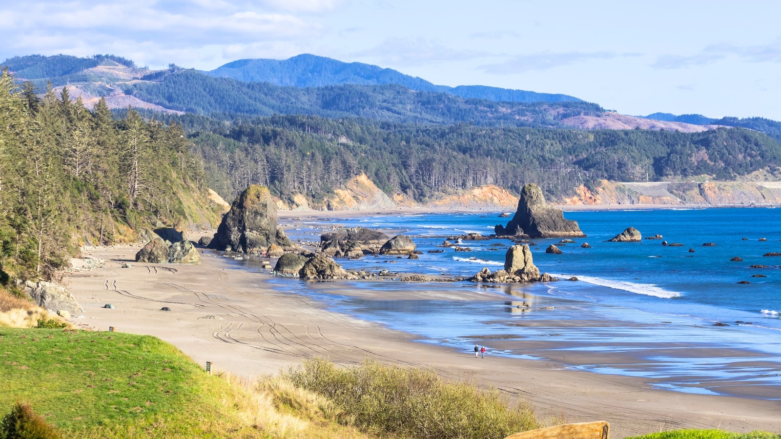 View of the ocean coastline on a sunny day in Port Orford, Oregon. In the background, mountains covered with dense forest create a picturesque backdrop. The coastline features Port Orford Beach, characterized by sandy shores and the rhythmic crashing of waves.