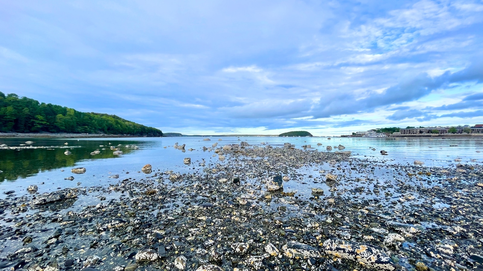 Low tide in Bar Harbor, Maine, reveals a rocky shoreline.